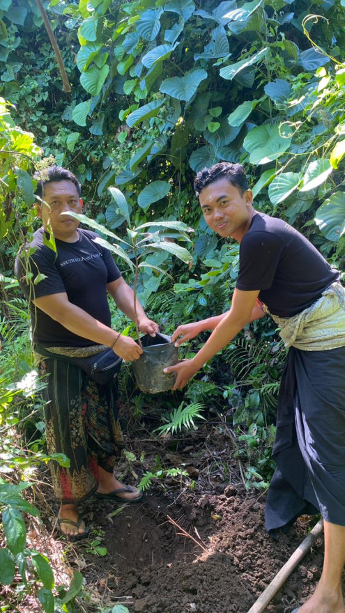 PENANAMAN POHON UPAKARA DI KAWASAN PURA TANAH ENGGAN OLEH KKN UHN NUSANTARA III KELOMPOK 26
